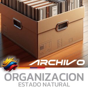 Organización Archivos Estado Natural